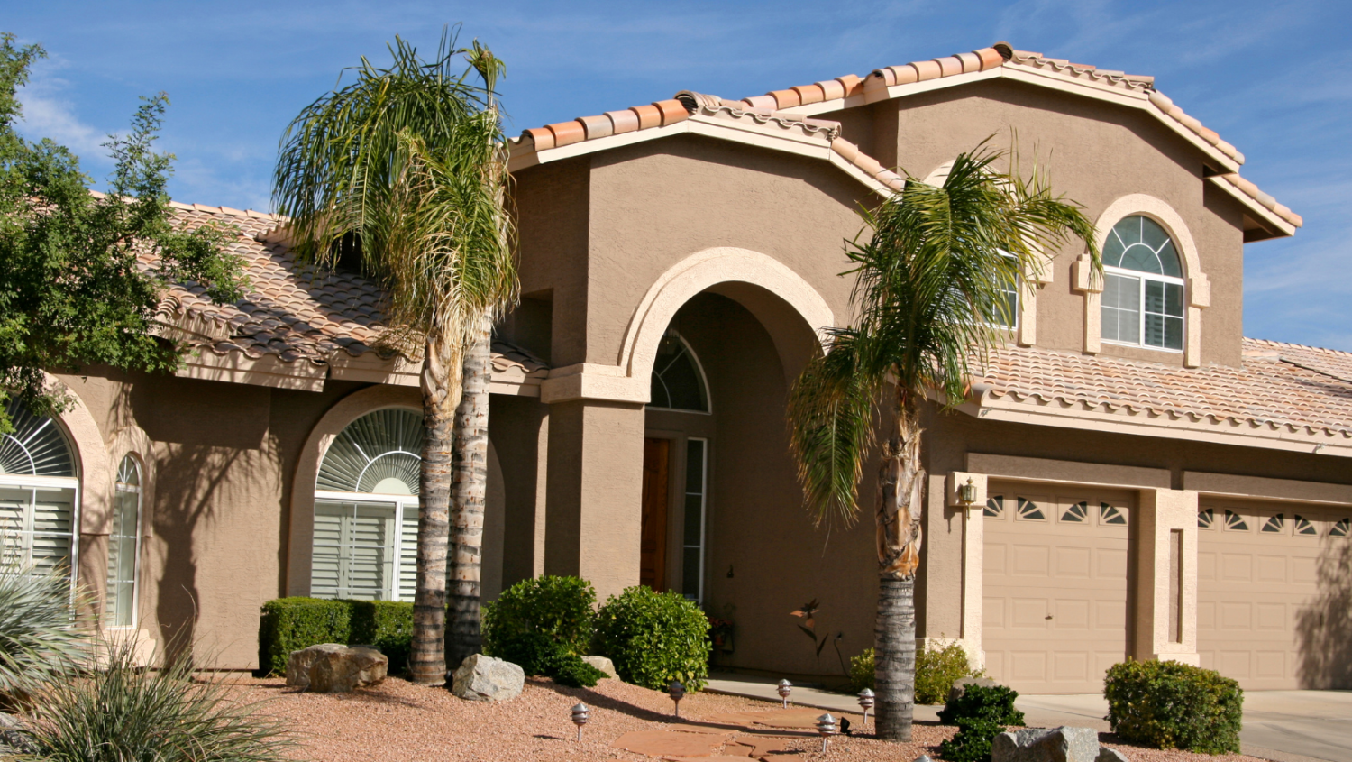 arizona-home-palm-trees